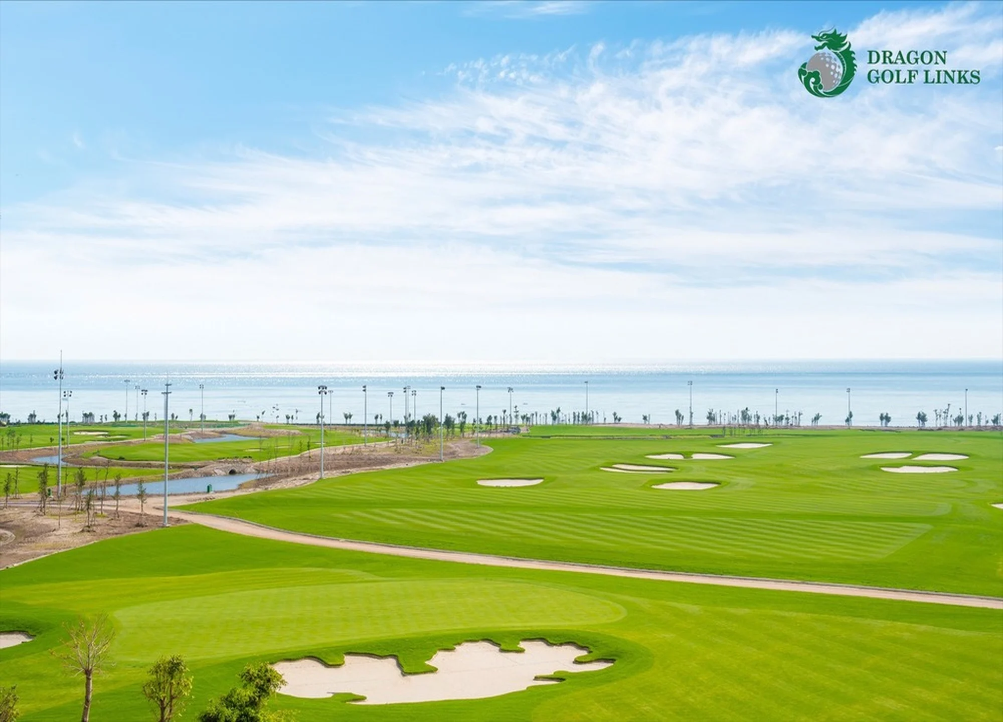 드래곤 골프 링크스 gallery 4