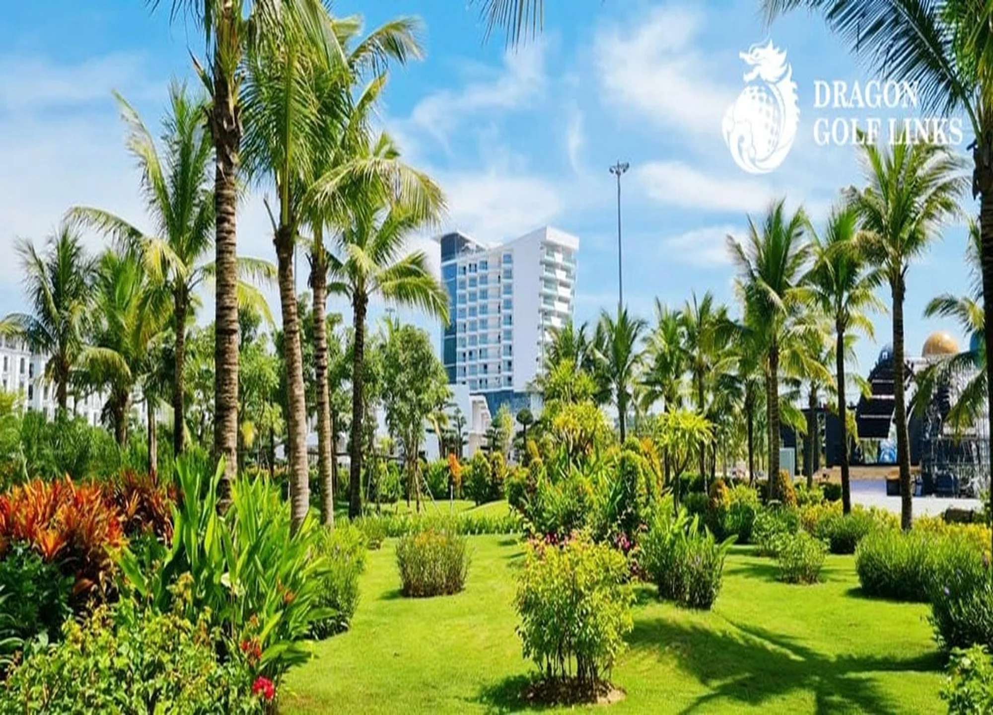 드래곤 골프 링크스 gallery 7