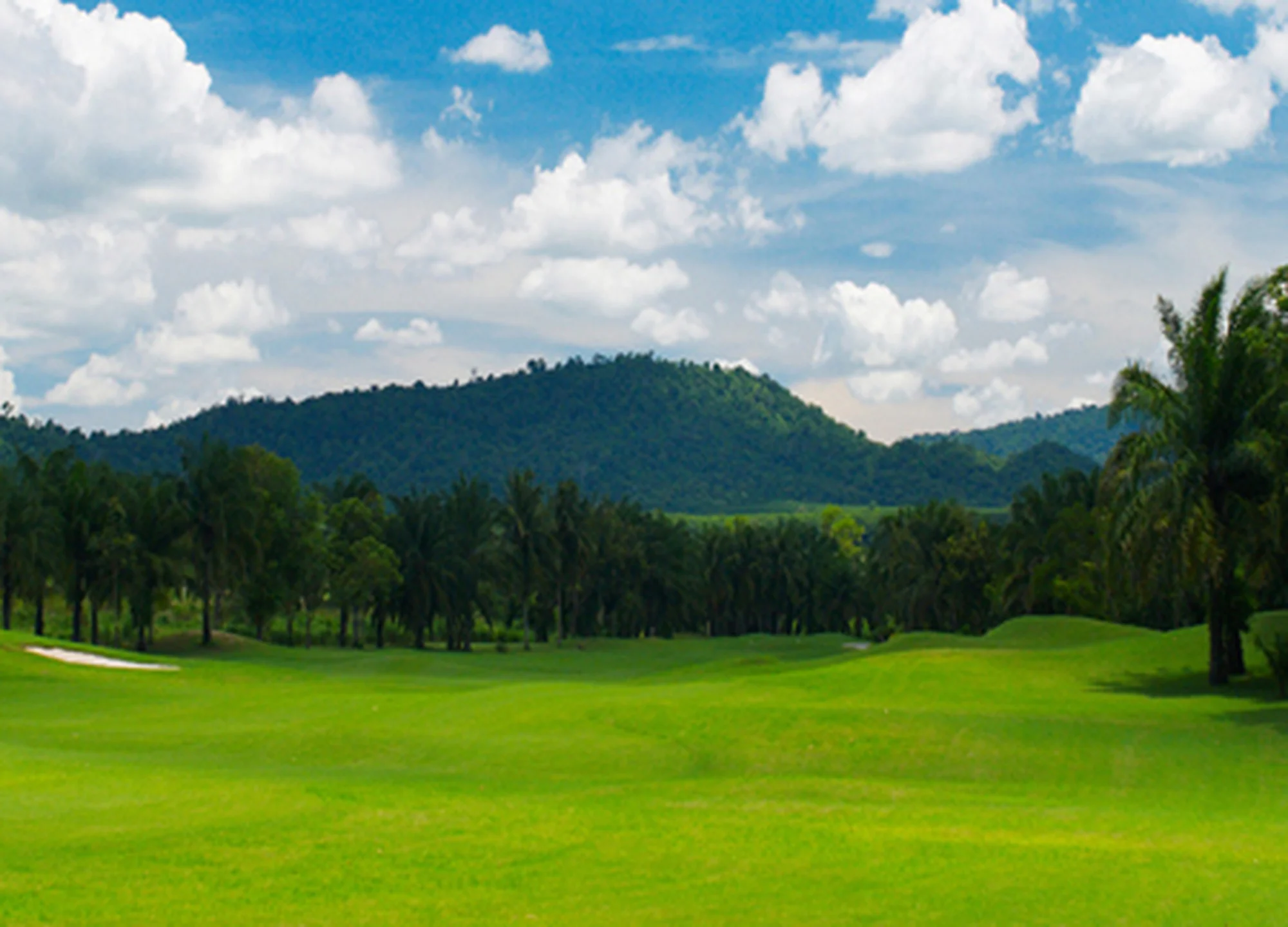 그린우드 골프 클럽 gallery 6