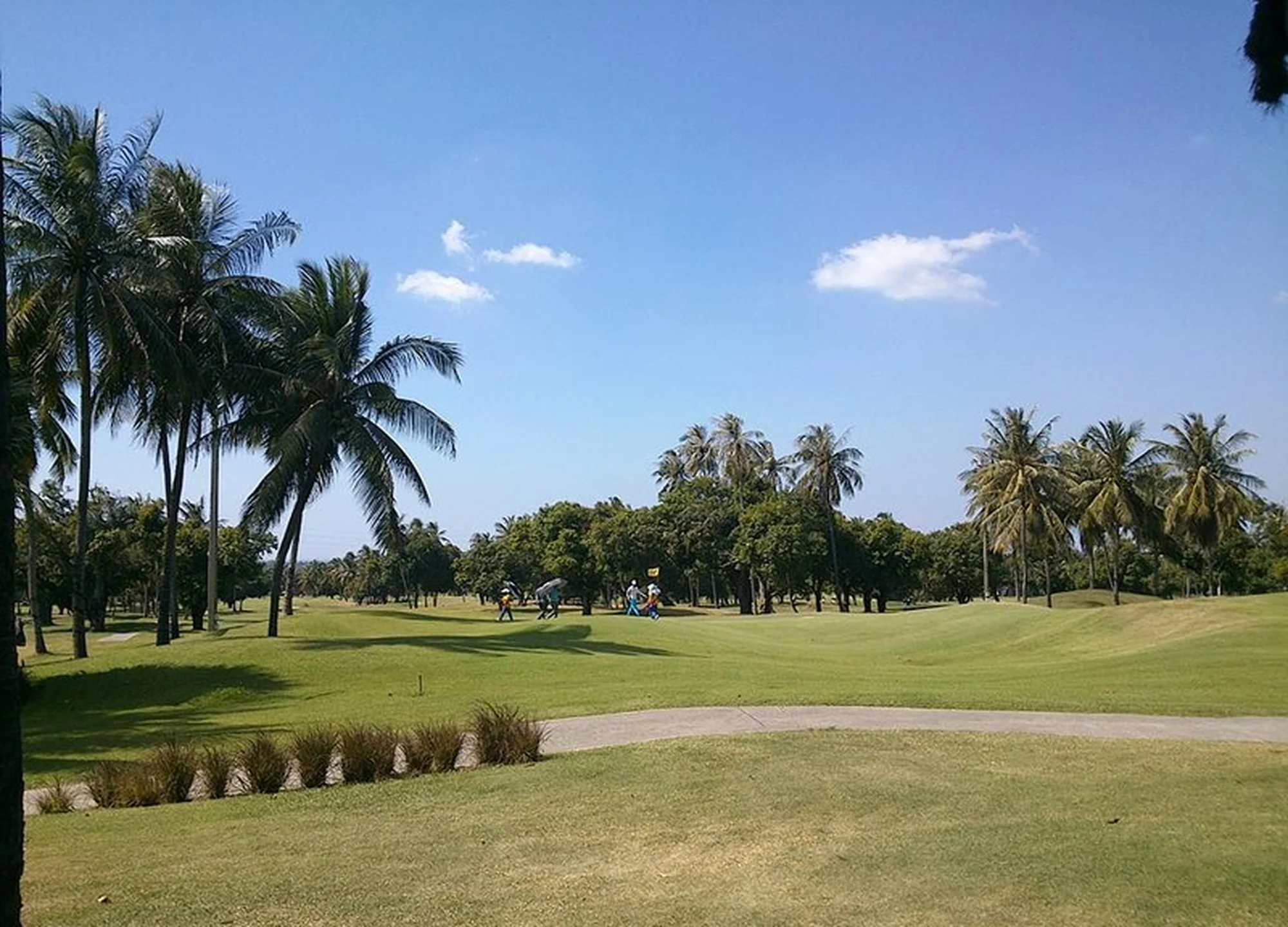 마운틴 쉐도우 골프 클럽