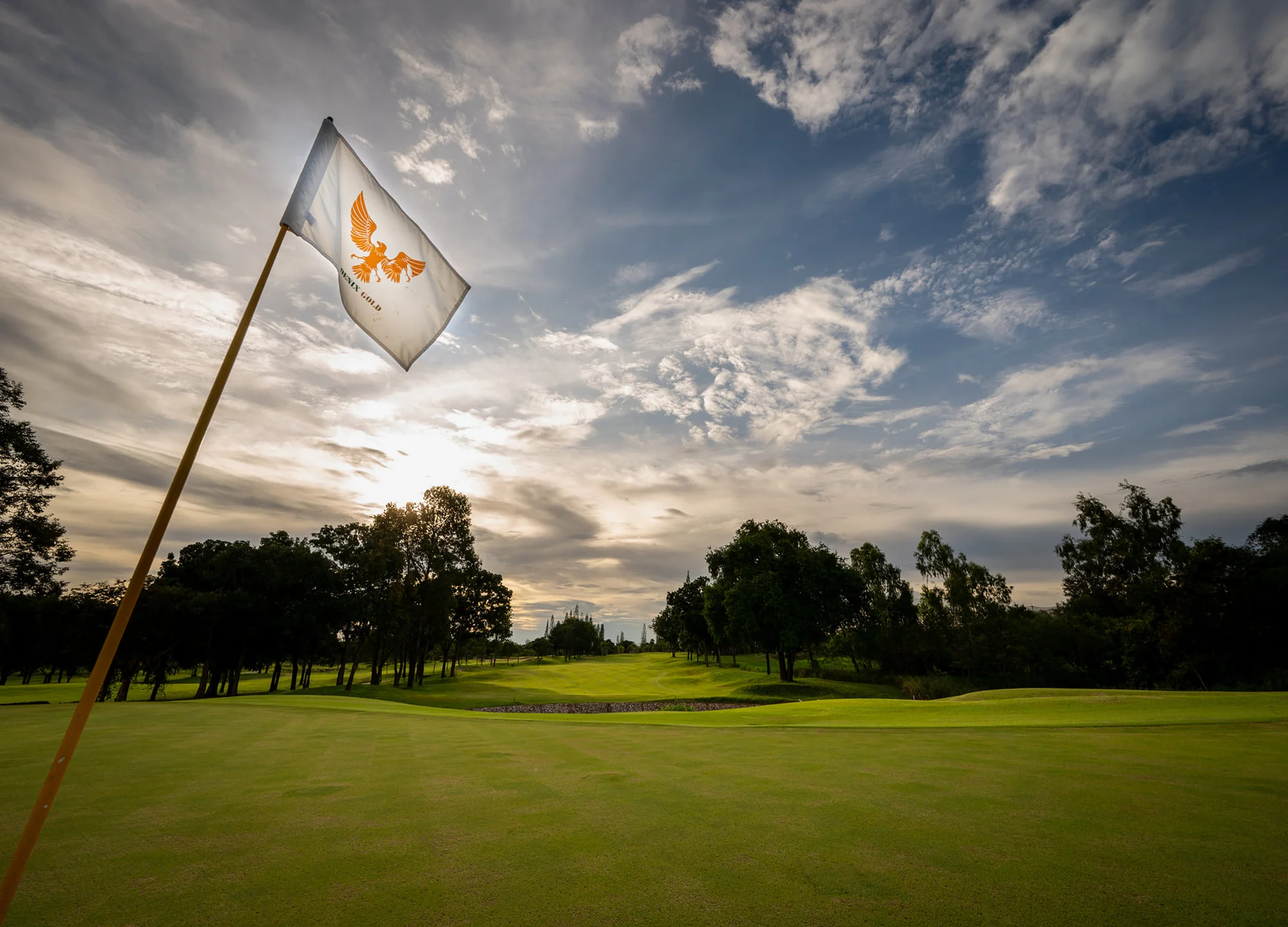 피닉스 골드 골프 앤 컨트리 클럽 (파타야) gallery 3