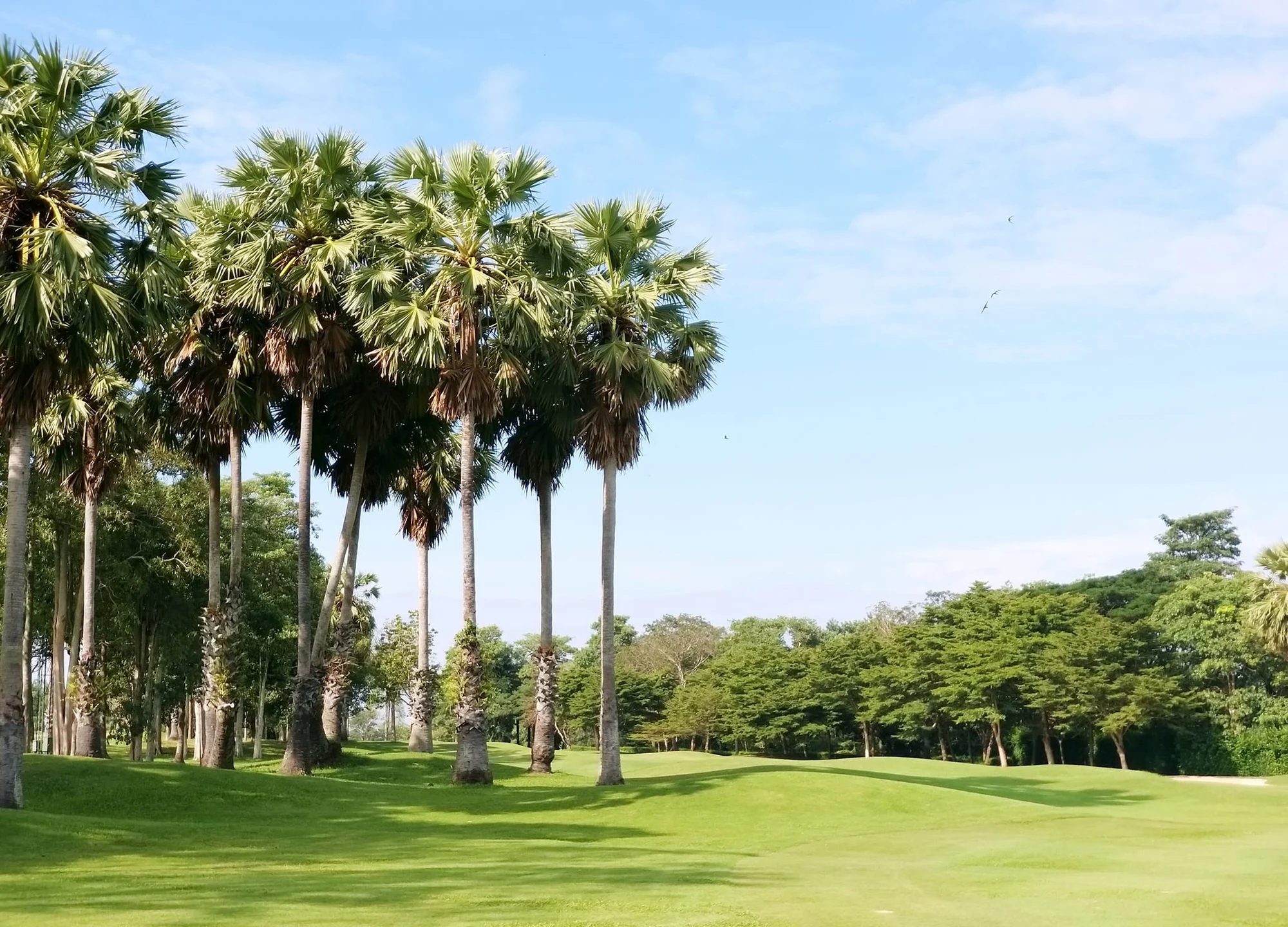 라용 그린 밸리 컨트리 클럽 gallery 2