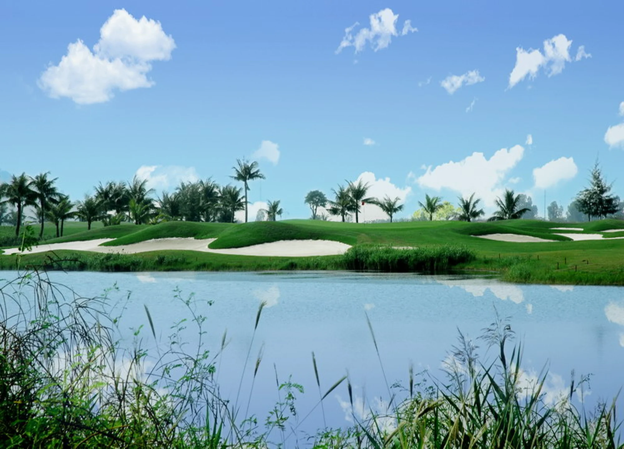 루비 트리 골프 리조트 클럽 gallery 6