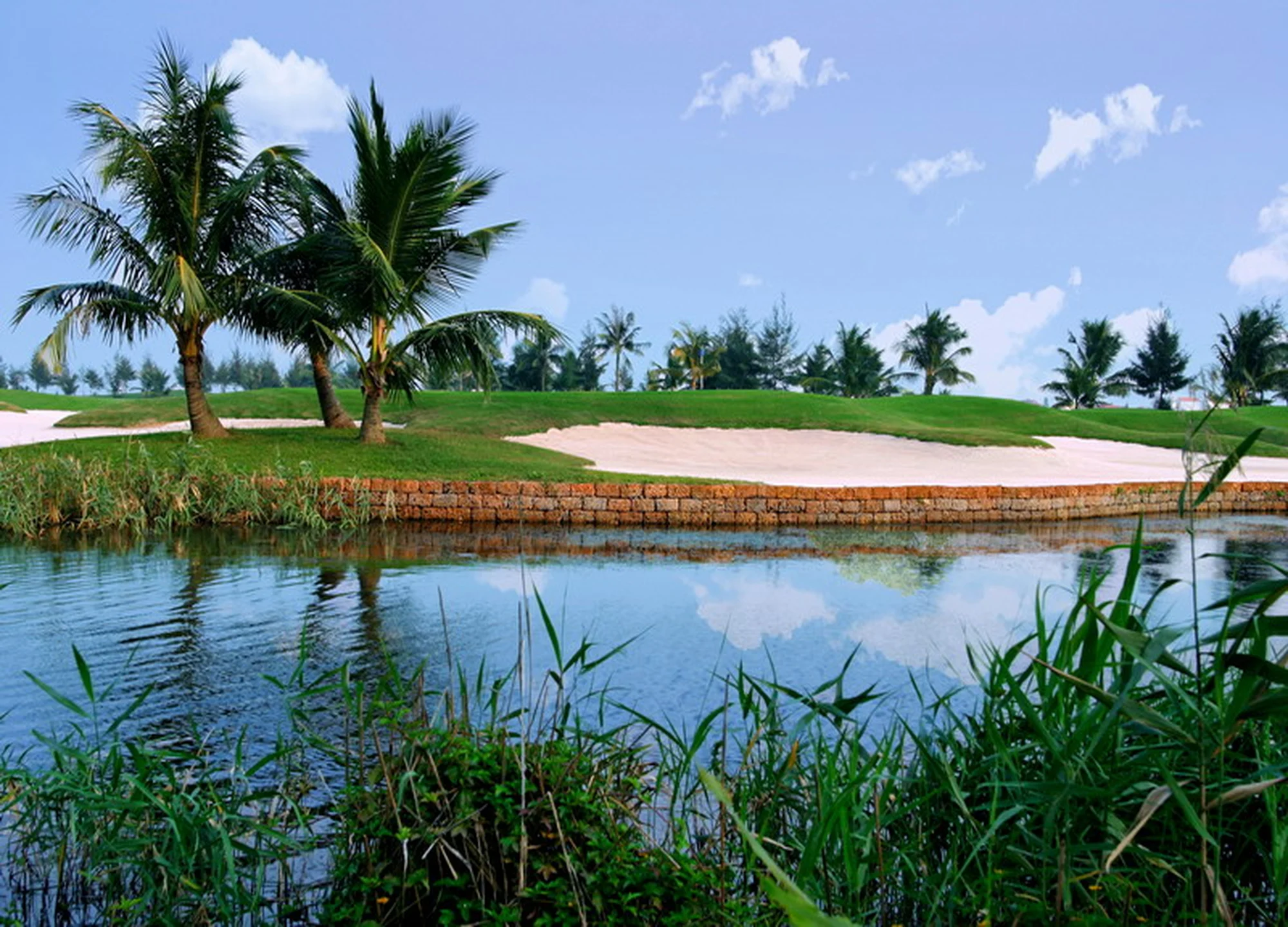 루비 트리 골프 리조트 클럽 gallery 7