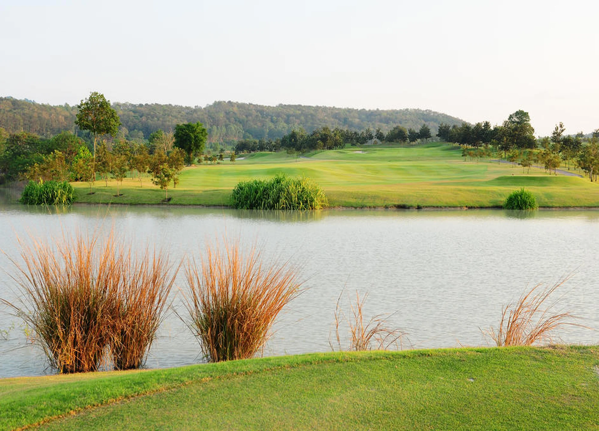 실키 오크 컨트리 클럽 gallery 3