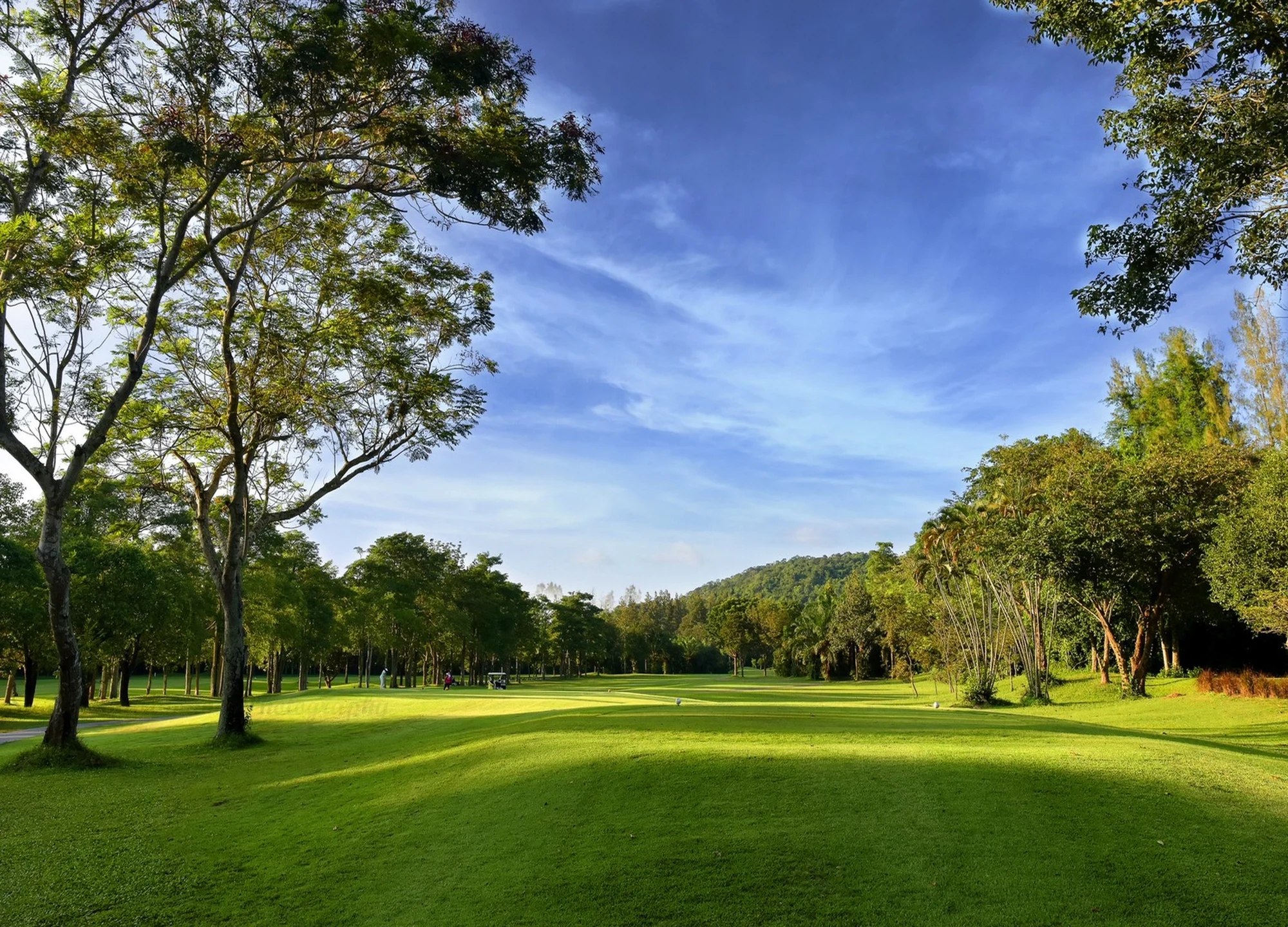트레저 힐 골프 클럽 gallery 2