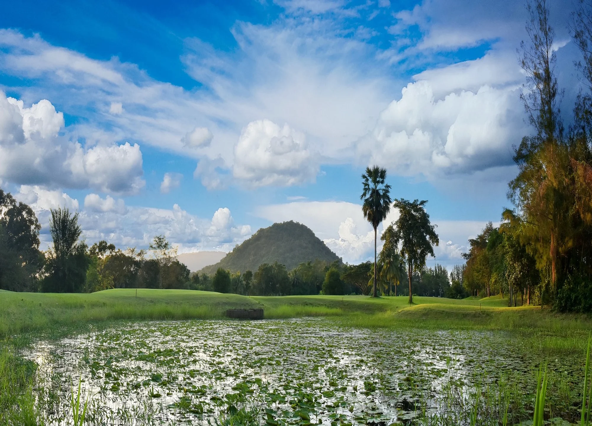 트레저 힐 골프 클럽 gallery 11